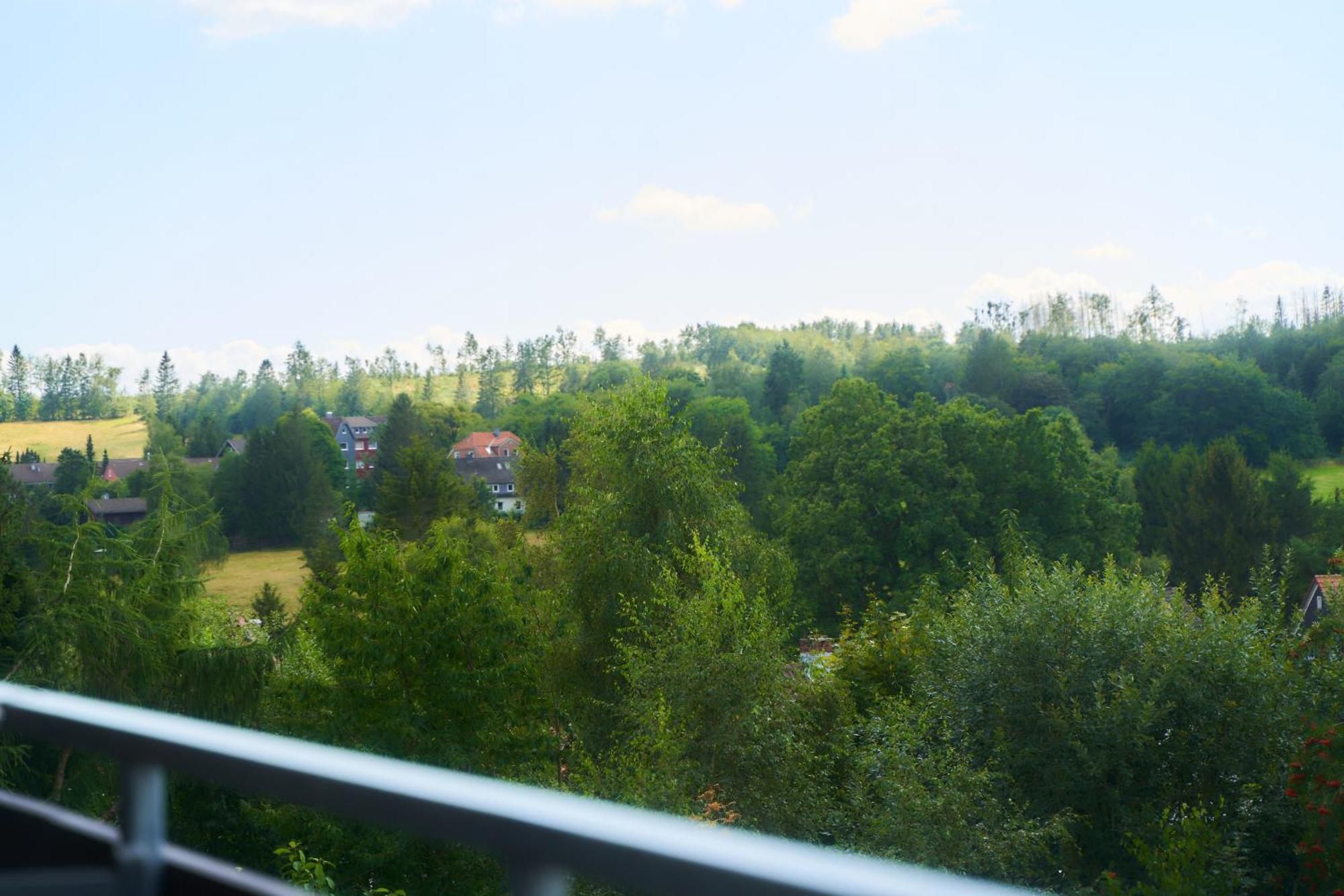 Wipfeltraum Apartment Braunlage
